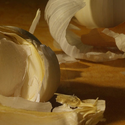 garlic photo